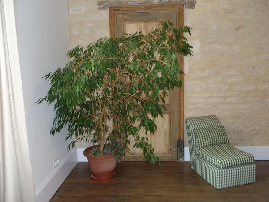 Le Presbytere - Touillon, Jacuzzi, 4 Chambres Pour 10 Buitenkant foto